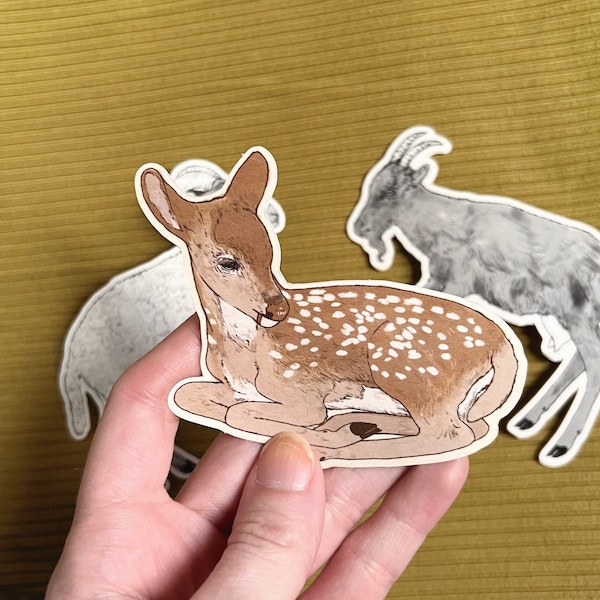 Baby Deer Fawn Decal Vinyl Sticker - Shiny Finish 3” - Cute Baby Animal