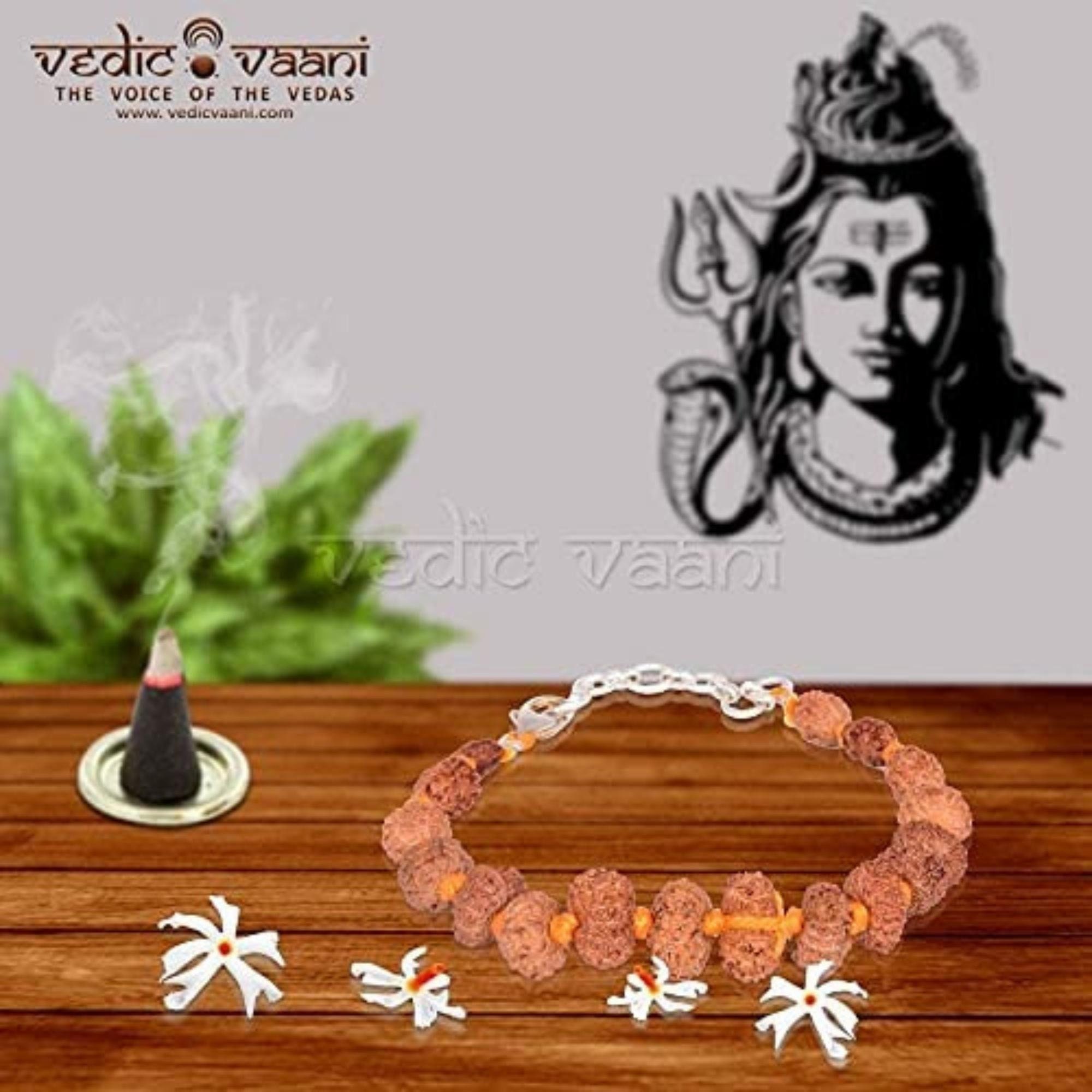 Rudraksha Silver Bracelet Single Line for Kids - Prinjal