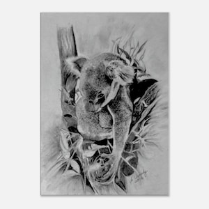 Koala Canvas