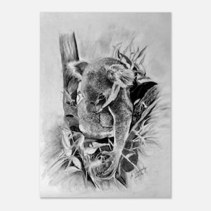 Premium Koala Matte Paper Poster