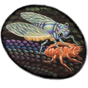 Emerge & Fly Away 3 x 2.5 Vinal Sticker Free Shipping
