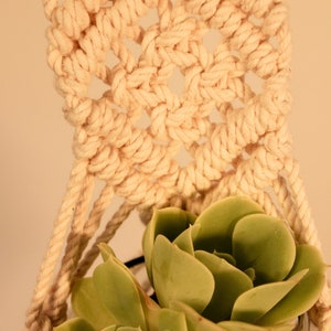 May include: A macrame plant hanger in natural beige holds a succulent plant in a clear glass container. The succulent has green leaves. The macrame is knotted in a diamond pattern.