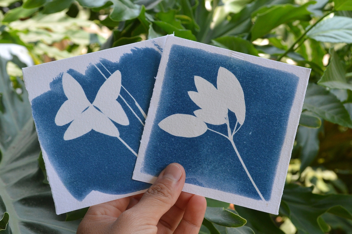 Cyanotype Paper. Photosensitive Paper. Paper to Generate - Etsy