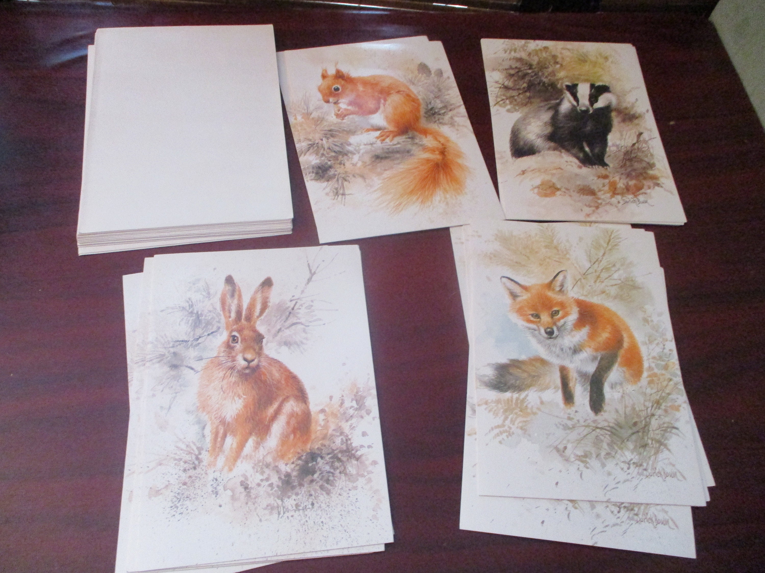 WWF Christmas Cards British Wildlife Designs Badger Etsy