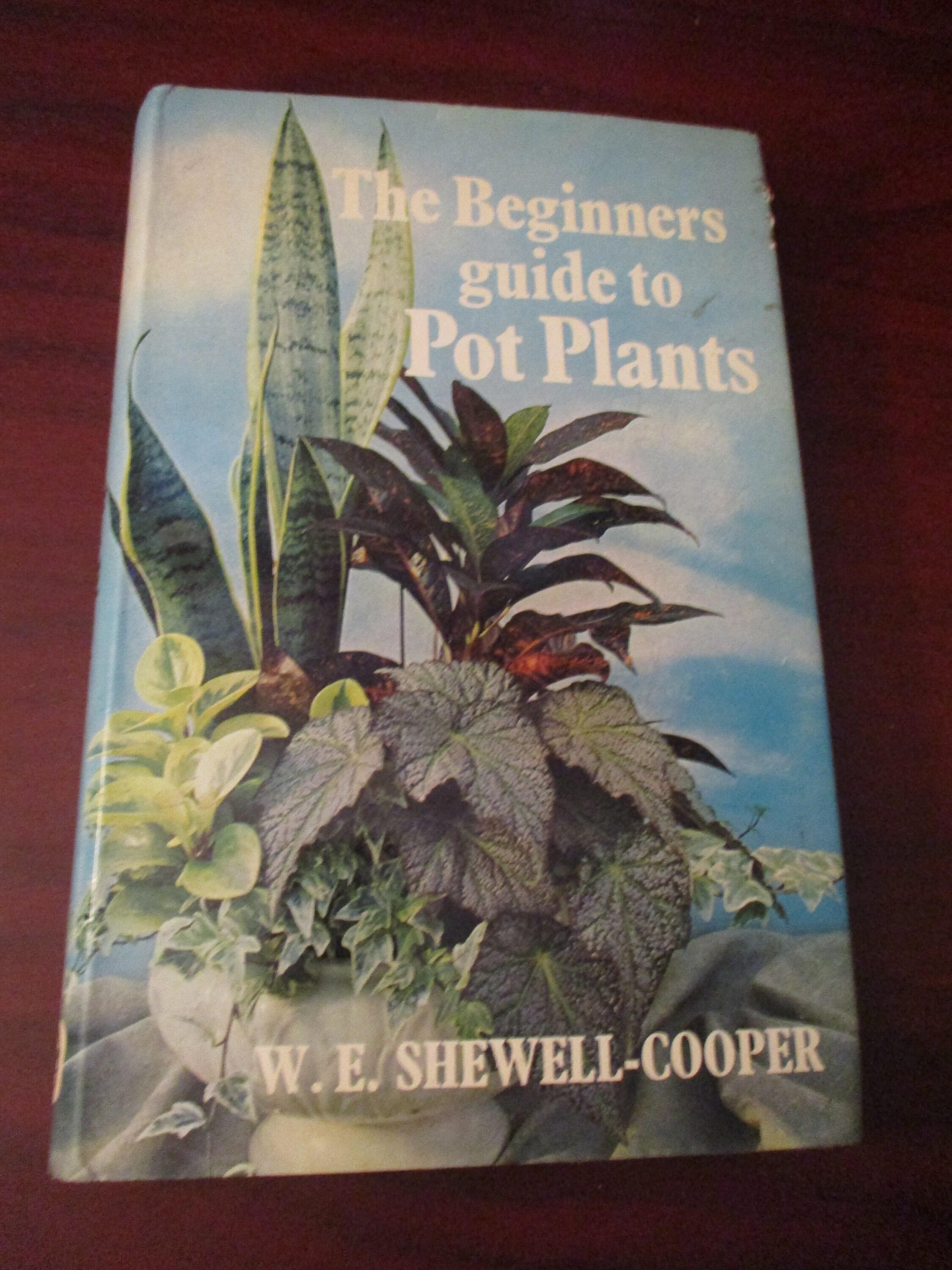 The Beginners Guide to House Plants Hardback Book 1971 Etsy.de