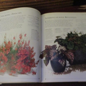 Container Gardening Book Hardback Book image 6