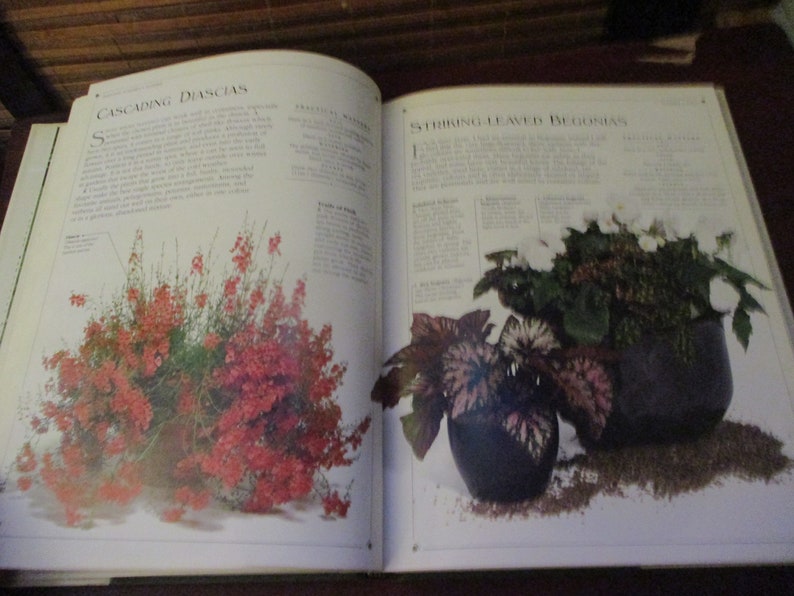 Container Gardening Book Hardback Book image 6