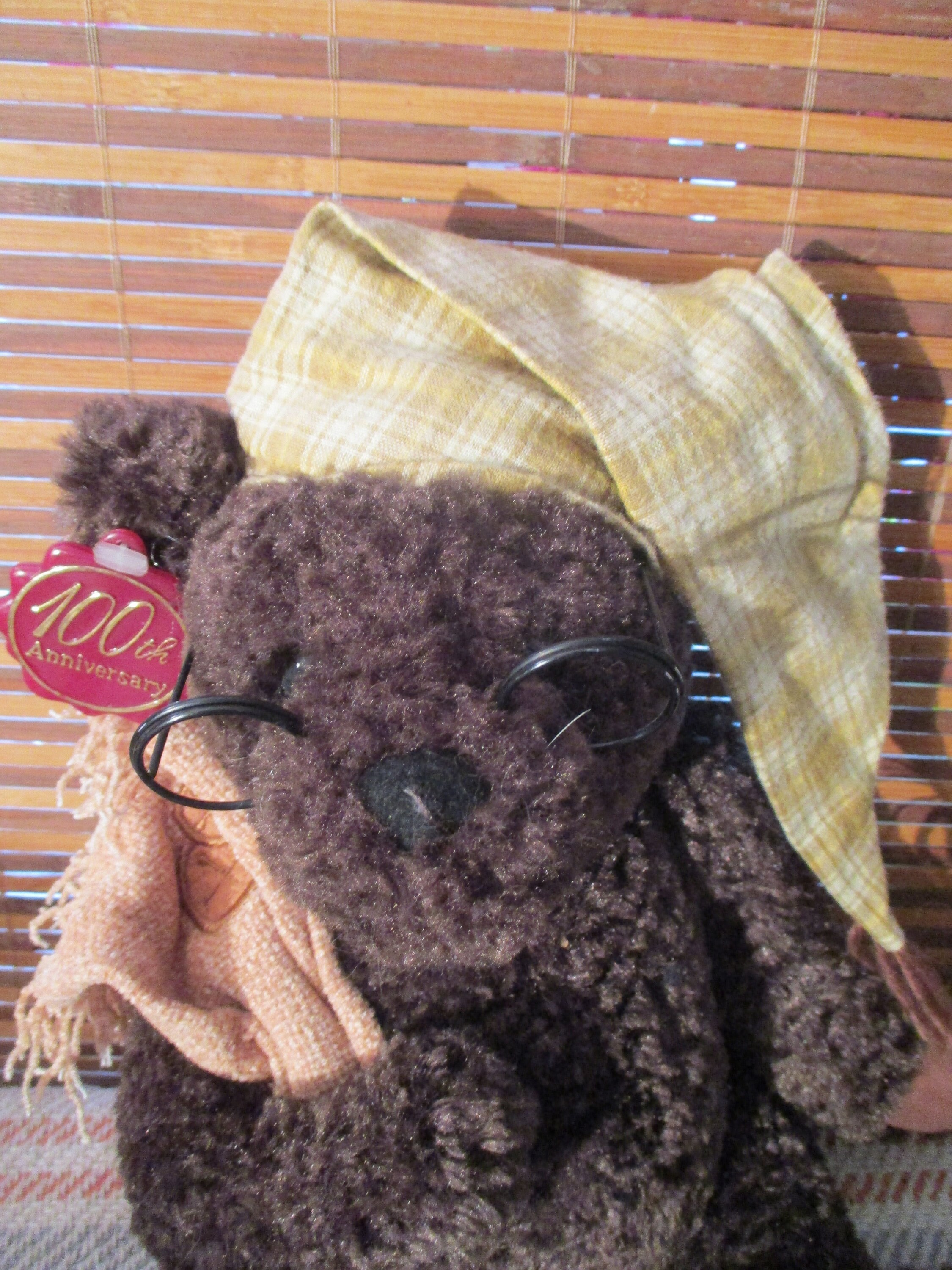teddy bear with nightcap
