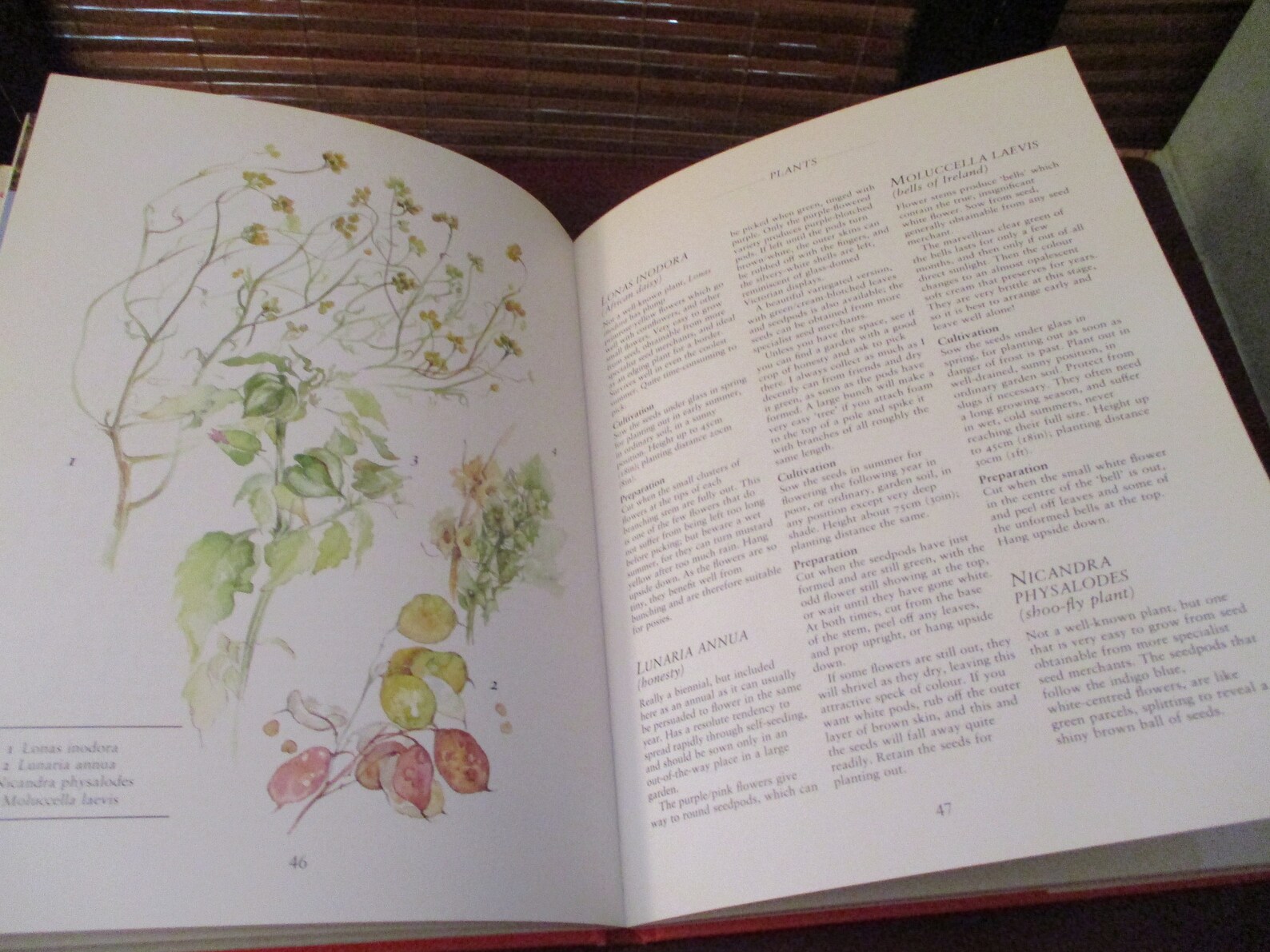 The Dried Flower Garden Book 1995 Etsy