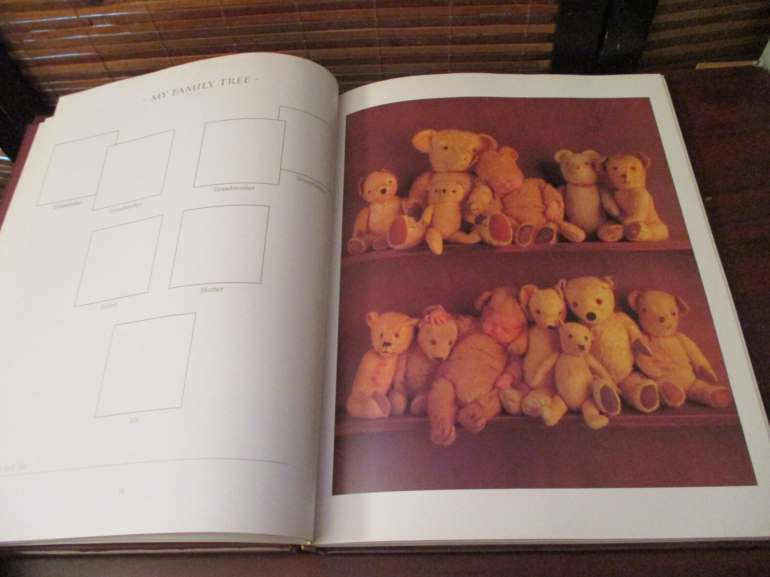 my first five years anne geddes my first five years anne geddes