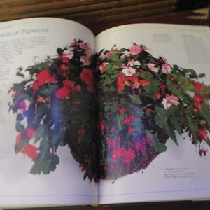 Container Gardening Book Hardback Book image 8