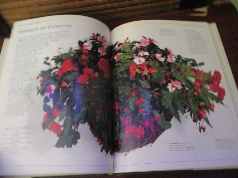 Container Gardening Book Hardback Book image 8