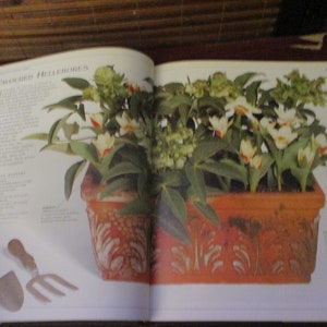 Container Gardening Book Hardback Book image 5