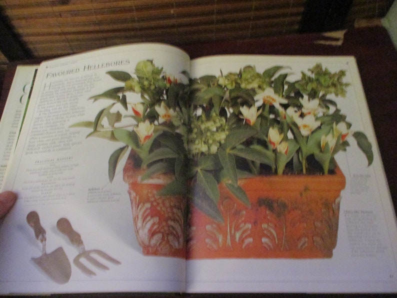 Container Gardening Book Hardback Book image 5