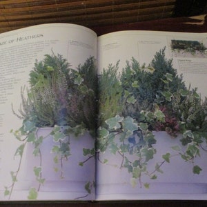 Container Gardening Book Hardback Book image 4