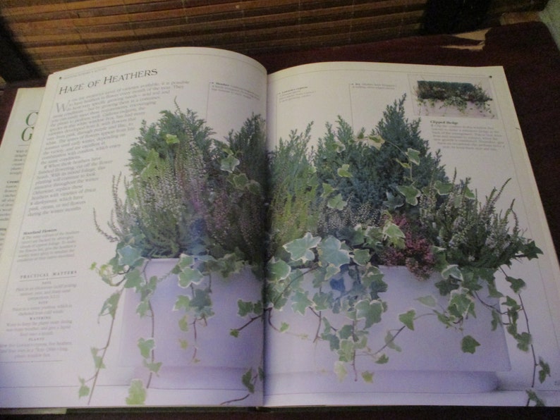 Container Gardening Book Hardback Book image 4