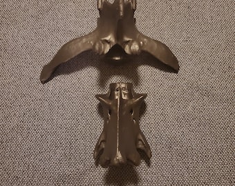 Deer Vertebre