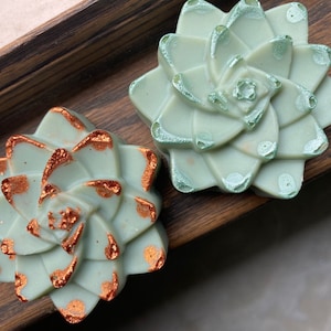 Jabón hecho a mano suculento - Regalo del día de la madre - Todo el cuidado de la piel natural - Jabón vegano - Jabón casero - Regalo del maestro - Jabón artesanal - Jabón de invitados de lujo
