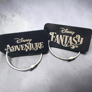 May include: Two black luggage tags with silver wire loops. One tag reads "Disney Adventure" in white script, and the other reads "Disney Fantasy" in white script. The tags are rectangular with rounded corners.