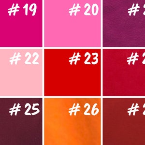 May include: Nine color swatches, numbered 19 through 27, showing various shades of pink, red, and orange.