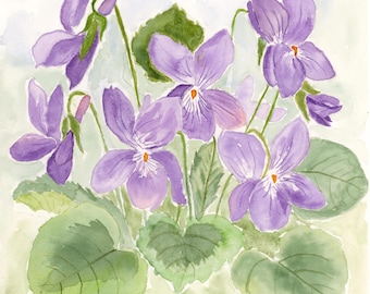 Spring Violets Watercolor Print by Claudia Buchanan.  100% Cotton Fine Art Paper