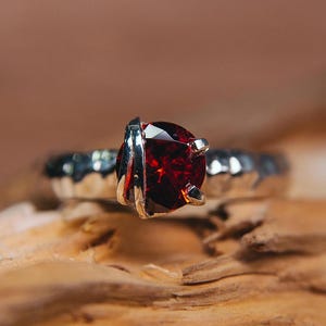 May include: A silver ring with a deep red gemstone set in a twisted band. The ring is on a piece of wood.