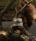 Tree bark His and Her celtic bands set, Tree celtic rings set, Couple celtic bands, Silver bands, Matching wedding rings, Unique rings set 