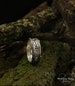 Unique silver tree band with celtic pattern, Tree silver wedding band, Celtic wedding ring with tree bark, Wide silver ring, Unusual band 