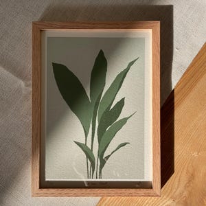 Cast Iron, Aspidistra Elatior Houseplant Screen Print, Original Hand Finished, A5 | Botanical Print | Handmade Art | Home Decor