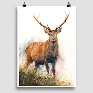 Orgoglioso Cervo Cervo Originale Firmato Acquerello Pittura Will Elliston Wall Art Natura Impressionista Fauna Selvatica Animale Highland Astratto grande Nuovo
