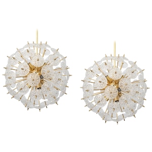 Large Stunning Floral Glass and Brass Sputnik Chandelier, Germany, 1960s