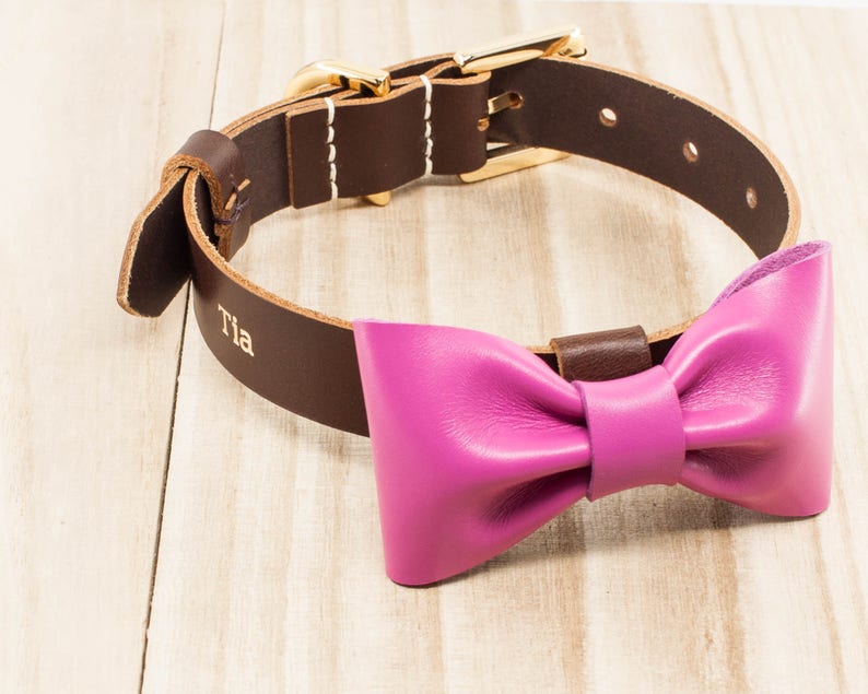 leather dog collar with bow
