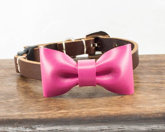 pink cat collar with bow