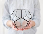 Geometric glass terrarium for succulents display box indoor planter black box geometric vases stained glass terrarium geometric (S10)