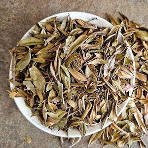 MYRTLE dried leaf 25g 50g Myrtus communis Arrayán Mirto Myrte Herbe du Lagui Aas Murta