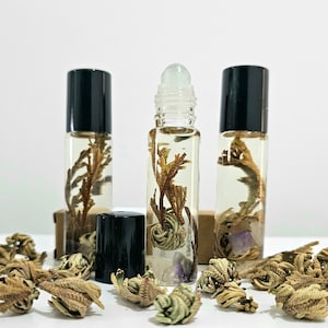 Aceite ritual artesanal ROSA DE JERICÓ, Anastatica hierochuntica, Un frasco 10ml, OFERTA caja de cartón reciclado