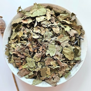 Foglia essiccata di NOCE, 25g 50g 0.88oz 1.76oz, Juglans regia, Nogal, Noix, Feuille de Noyer, Nogueira
