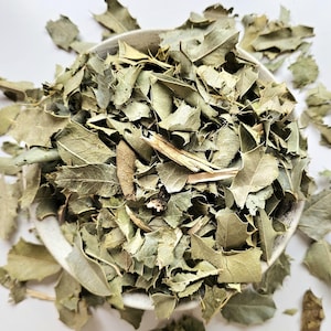 Espinheira Santa dried plant, 30g 60g 120g 1.06oz 2.12oz 4.23oz, Congorosa Herbal tea, Maytenus ilicifolia, Cancrosa, Chuchuwasi, Maiteno