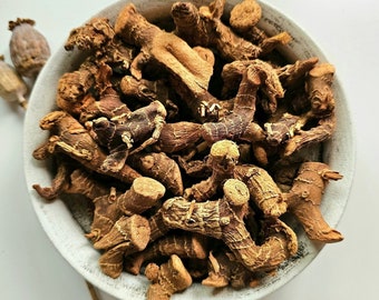 GALANGAL dried root, 25g 50g 0.88oz 1.76oz, Alpina officinarum, Alpinia root, Chewing John, Low John, Galangale, Galanga - BIG PIECES