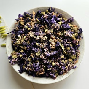 BLUE MALLOW dried flowers, 25g 50g 0.88oz 1.76oz Malva sylvestris, Common Mallow, Blue Malva, Grande Mauve, Vilayatiikangai, Malva Silvestre