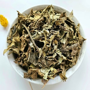 CHAPÉU DE COURO folha seca, 25g 50g 100g 0,88 onças 1,76 onças 3,53 onças, Echinodorus macrophyllus, chá mineiro, Chá de Mineiro, Chapéu de Couro