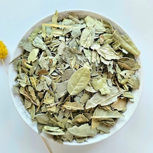 BOLDO dried leaf, 50g 100g 1.76oz 3.53oz, Peumus boldus, True Boldo, Boldus, Boldine, Boldo do Chile