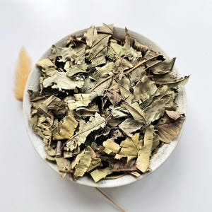 Guava dried leaf, 25g 50g 100g 0.88oz 1.76oz 3.53oz, Psidium guajava, Common Guava, Goyavier, Guayaba, Guavenbaum, Goiabeira, Guava leaf tea