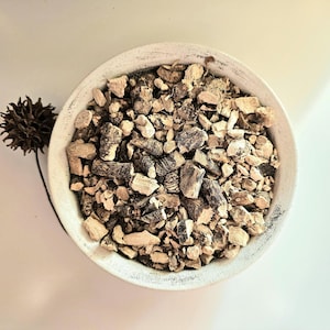 Racine de calamus séchée, 50 g 1,76 oz, Acorus calamus, racine Sweet Flag, Acore calame, Calamo aromatique, Calamo aromatique
