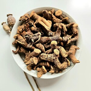 Galangal dried root, 25g 50g 0.88oz 1.76oz, Alpina officinarum, Alpinia root, Chewing John, Low John, Galangale, Galanga - Big pieces