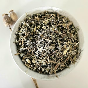 MUGWORT dried plant, 40g 80g 1.41oz 2.82oz, Artemisia vulgaris, Armoise, Hierba de San Juan, Artemisia, Artemísia