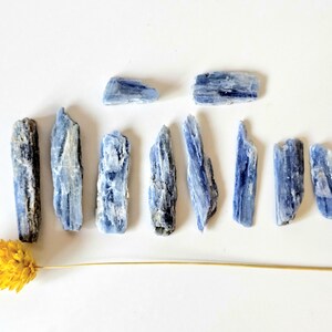 May include: Arrangement of blue kyanite crystals, varying in size and shape, against a white background. The crystals have a layered appearance with shades of blue and white. A yellow dried flower is placed at the bottom left.