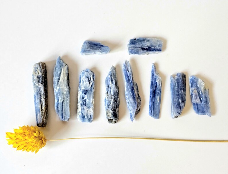 May include: Arrangement of blue kyanite crystals, varying in size and shape, against a white background. The crystals have a layered appearance with shades of blue and white. A yellow dried flower is placed at the bottom left.