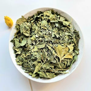 Black Mulberry dried leaf, 50g 1.76oz, Morus nigra, Purple Mulberry, Morera Negra, Mûrier Noir, Amoreira
