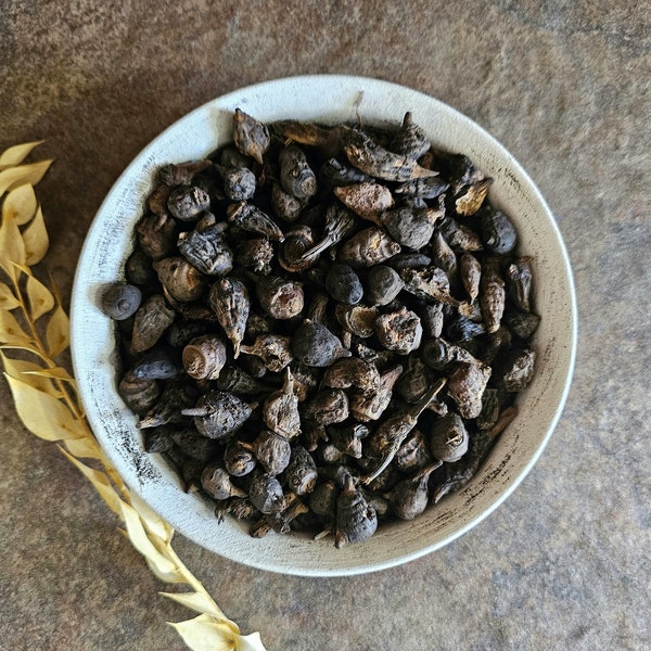 GOWE getrocknete Wurzeln 25g Cyperus rotundus Kokosgras Javagras Nutsedge Diguidjé GOWÉ aus Senegal